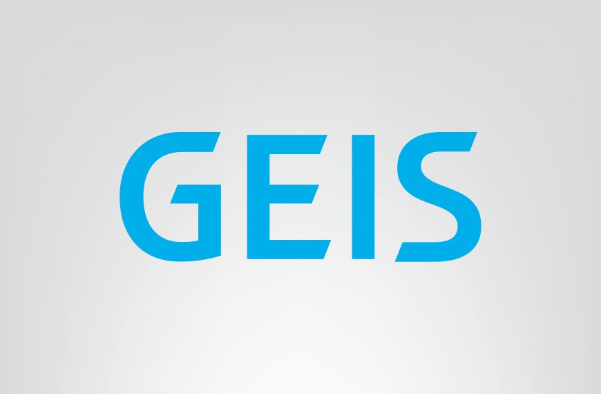 GEIS bayisi Anka Mühendislik